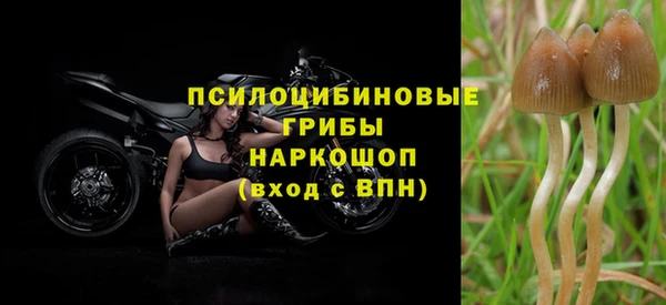 амф Семикаракорск