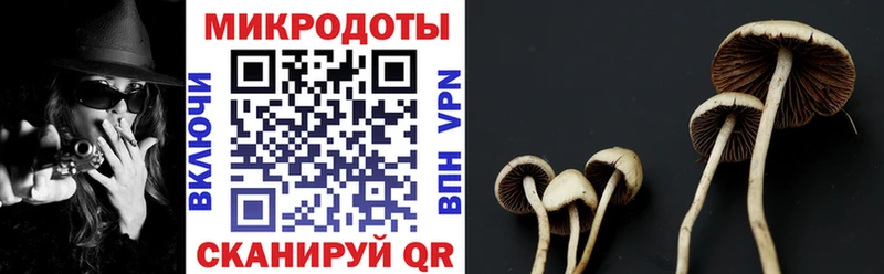 MEGA ONION  Заполярный  Галлюциногенные грибы GOLDEN TEACHER 